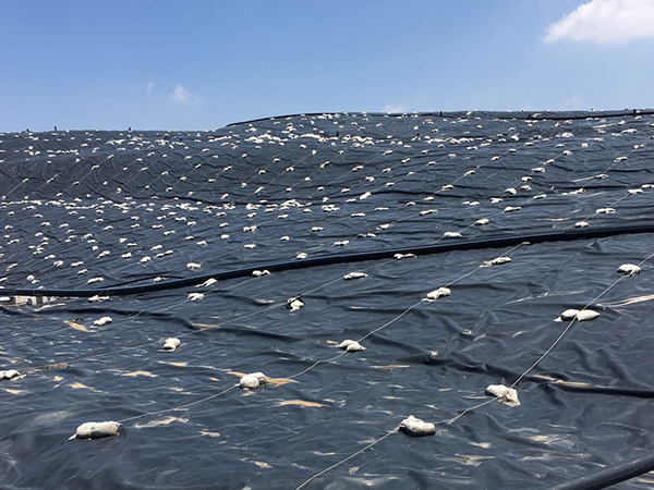 非常規(guī)溫度下的防滲土工膜該如何鋪設(shè)？