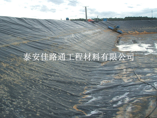養(yǎng)殖防滲膜怎么選？實(shí)用技巧幫你避坑